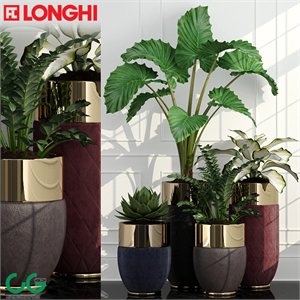 PLANT86